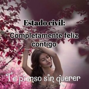 Meet your Posher, Daile